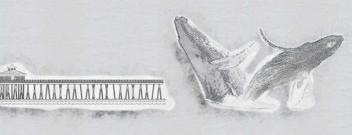 First mockup for the Levenmouth Whale Project