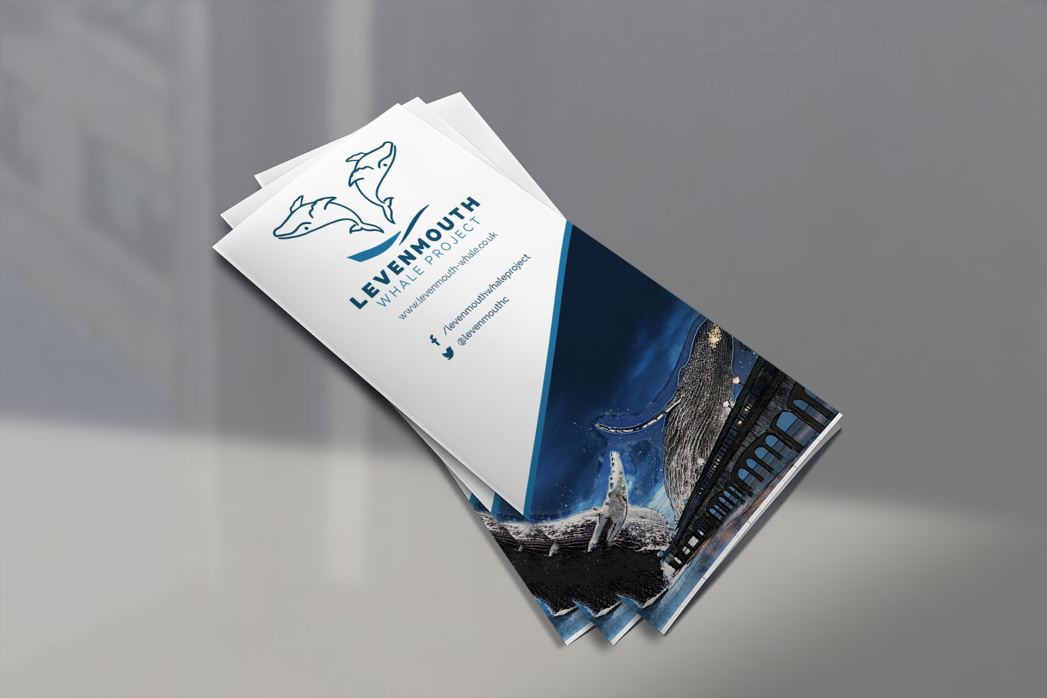 Levenmouth Whale Project - Trifold Pamphlet